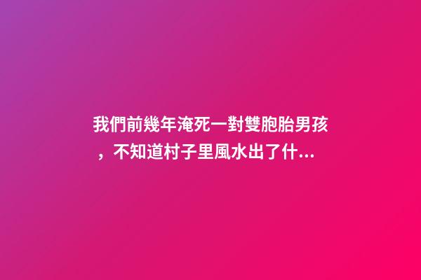 我們前幾年淹死一對雙胞胎男孩，不知道村子里風水出了什么問題導